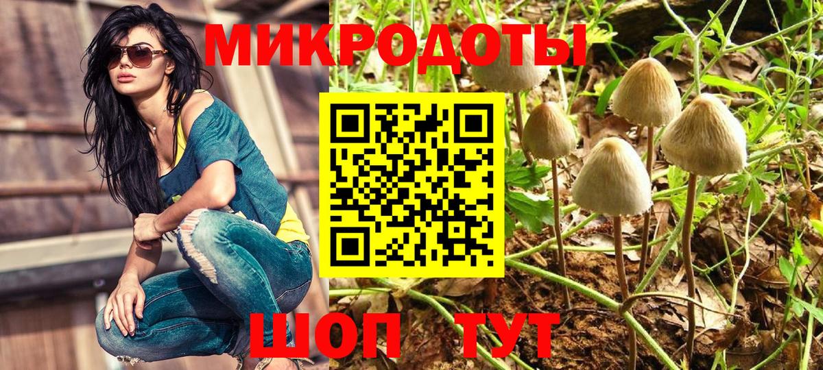 Псилоцибиновые грибы мицелий Удомля