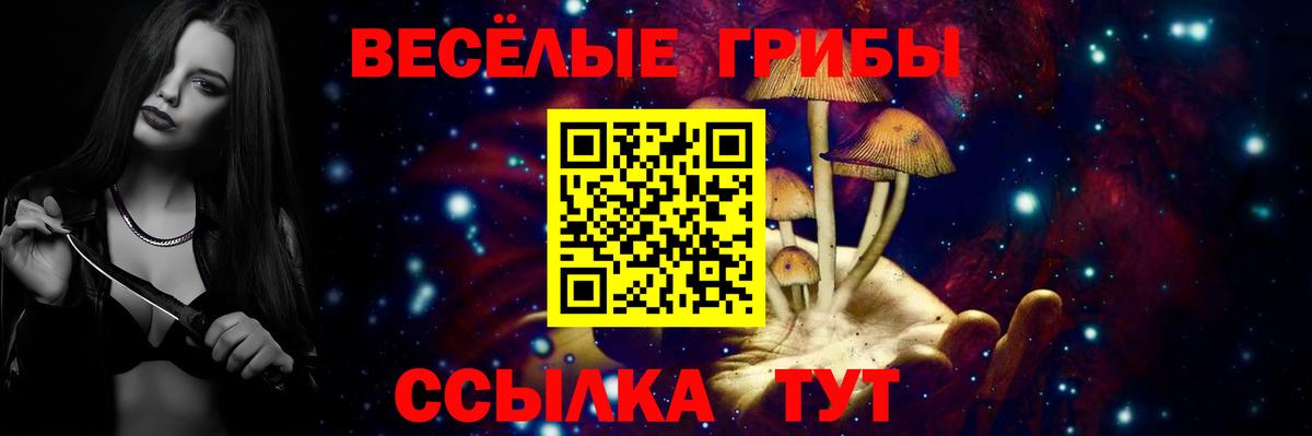 Псилоцибиновые грибы мицелий  Галлюциногенные грибы ЛСД  Удомля  Вход с VPN 